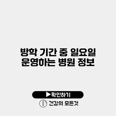 방학 기간 중 일요일 운영하는 병원 정보