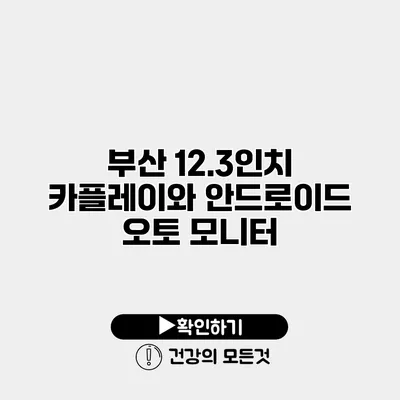 부산 12.3인치 카플레이와 안드로이드 오토 모니터