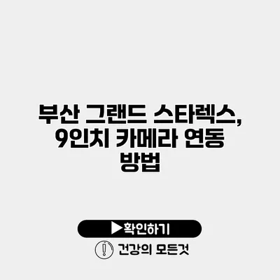 부산 그랜드 스타렉스, 9인치 카메라 연동 방법