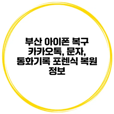 부산 아이폰 복구 카카오톡, 문자, 통화기록 포렌식 복원 정보