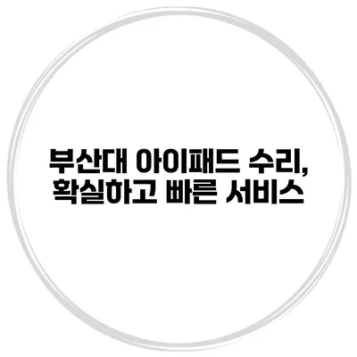 부산대 아이패드 수리, 확실하고 빠른 서비스