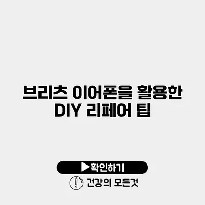 브리츠 이어폰을 활용한 DIY 리페어 팁