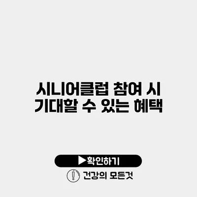 시니어클럽 참여 시 기대할 수 있는 혜택