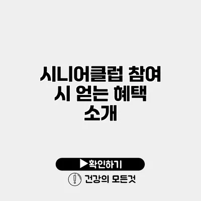 시니어클럽 참여 시 얻는 혜택 소개
