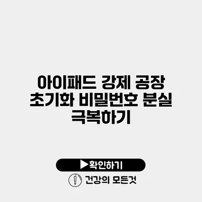 아이패드 강제 공장 초기화 비밀번호 분실 극복하기