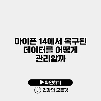 아이폰 14에서 복구된 데이터를 어떻게 관리할까?