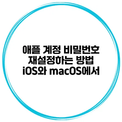 애플 계정 비밀번호 재설정하는 방법 iOS와 macOS에서