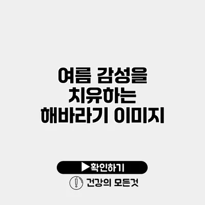여름 감성을 치유하는 해바라기 이미지
