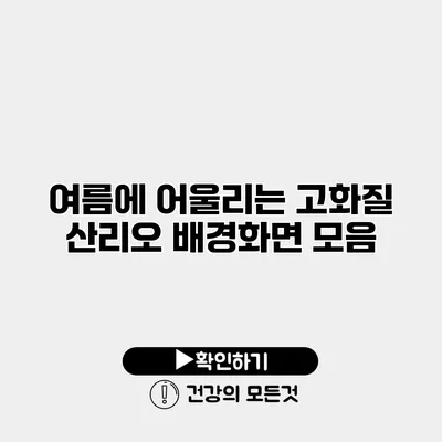 여름에 어울리는 고화질 산리오 배경화면 모음