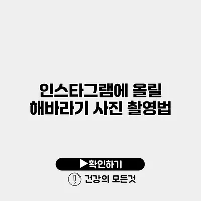 인스타그램에 올릴 해바라기 사진 촬영법