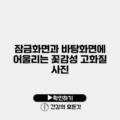 잠금화면과 바탕화면에 어울리는 꽃감성 고화질 사진
