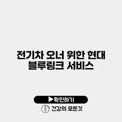전기차 오너 위한 현대 블루링크 서비스