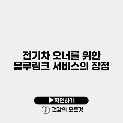 전기차 오너를 위한 블루링크 서비스의 장점