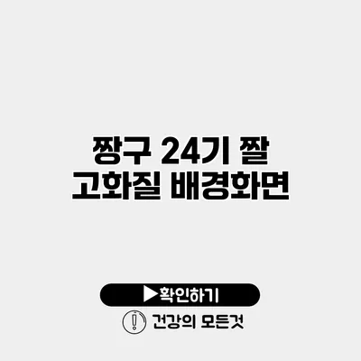 짱구 24기 짤 고화질 배경화면
