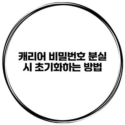 캐리어 비밀번호 분실 시 초기화하는 방법