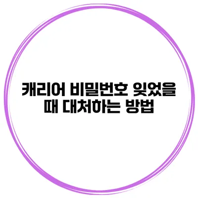 캐리어 비밀번호 잊었을 때 대처하는 방법