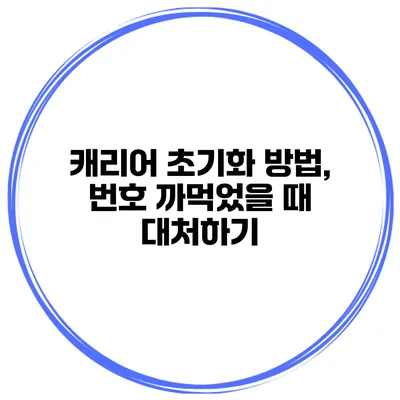 캐리어 초기화 방법, 번호 까먹었을 때 대처하기