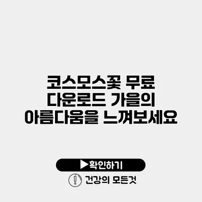 코스모스꽃 무료 다운로드 가을의 아름다움을 느껴보세요
